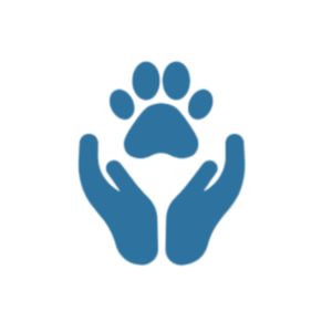 preventative care icon